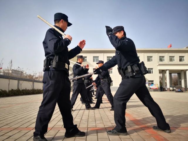 "的原则,紧紧围绕徒手防控,安全防护,警械使用等内容开展了专项训练