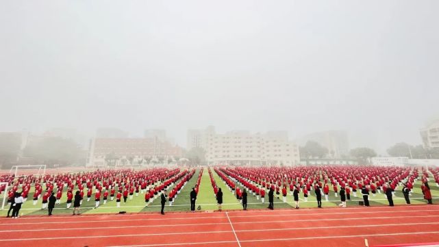 【海枫小学】与经典同行 伴书香成长|枫叶国际学校|读书|小学|海南