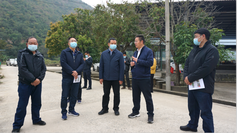 县委书记陈勇宏到迤萨镇勐龙村调研勐龙村气候干热