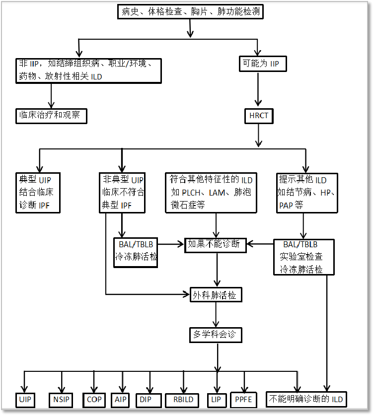 有間質改變就是間質性肺炎看專家手把手教你間質性肺疾病的診斷流程