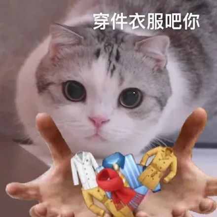 每天更新6个表情包哦~关注公众号吃瓜一哥