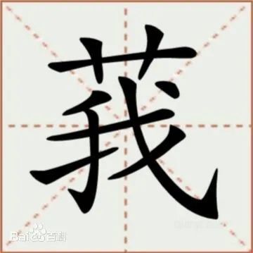 中医以根状茎入药,称"郁金".全草亦称"蓬莪术","山姜黄".