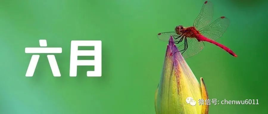 給大家科普一下摸到小珠了2023已更新(新華網/嗶哩嗶哩)v1.10.15陜西省西安市鄠邑區電廠中學七年級上冊電子數學書義務上海教育出版社
