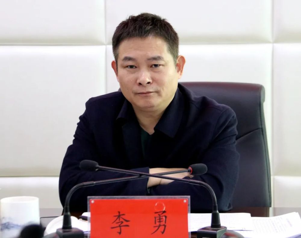 县委副书记,县长李勇,县委常委,县政府常务副县长李振