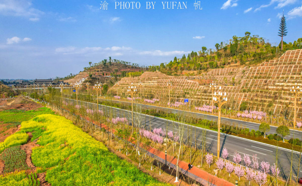 重庆100米宽的潼南大道成花团锦簇的景观大道引大量游客打卡