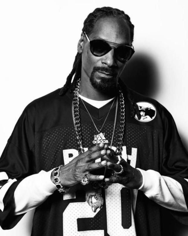 今年的超级碗你看了吗人们说的西海岸狗爷到底是谁