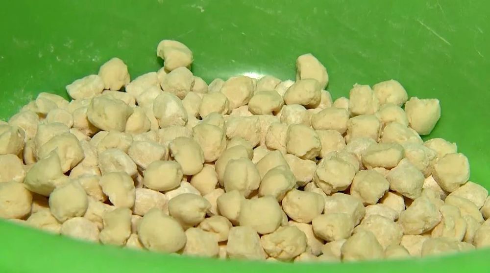 网络中国节藏历新年吃古突啦