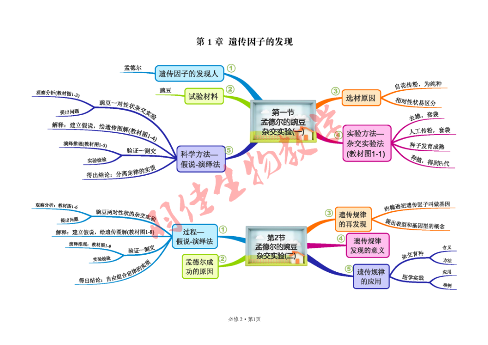 2019人教版高中生物必修2遺傳與進化思維導圖簡明版