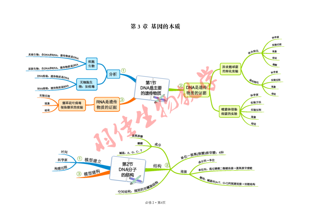 2019人教版高中生物必修2遺傳與進化思維導圖簡明版