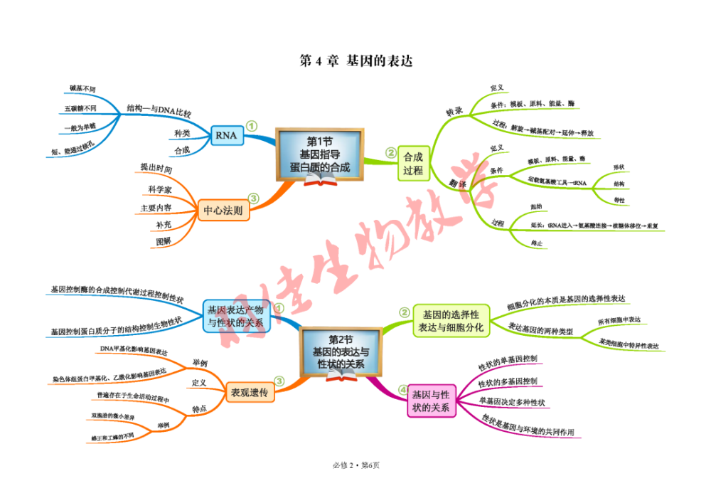 2019人教版高中生物必修2遺傳與進化思維導圖簡明版