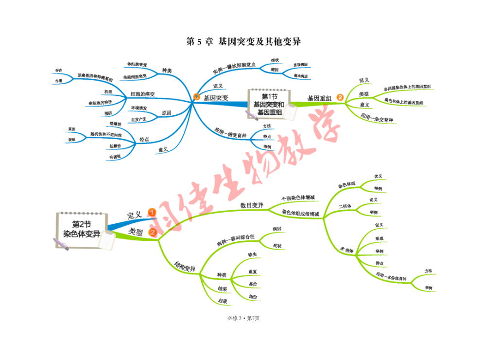 2019人教版高中生物必修2遺傳與進化思維導圖簡明版