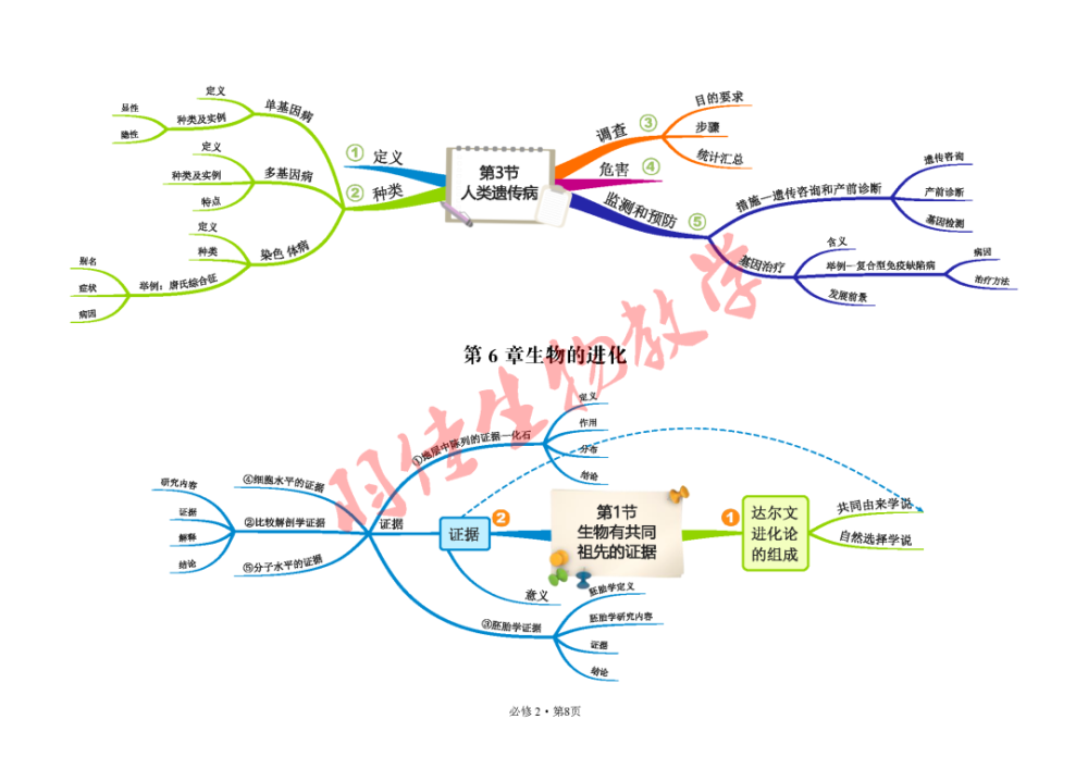 2019人教版高中生物必修2遺傳與進化思維導圖簡明版