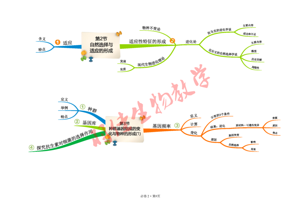 2019人教版高中生物必修2遺傳與進化思維導圖簡明版