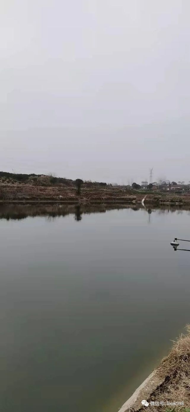 唐街湖北枝江安福寺鎮32畝土地魚池房子42萬