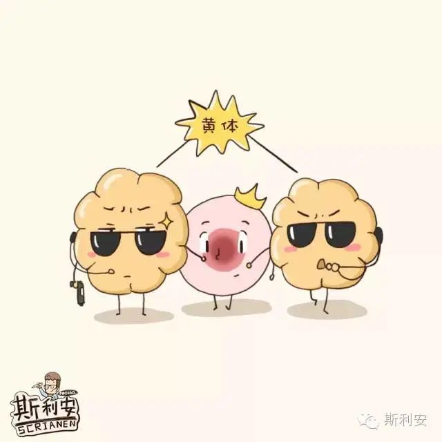 什么叫物质还需医保试管为止