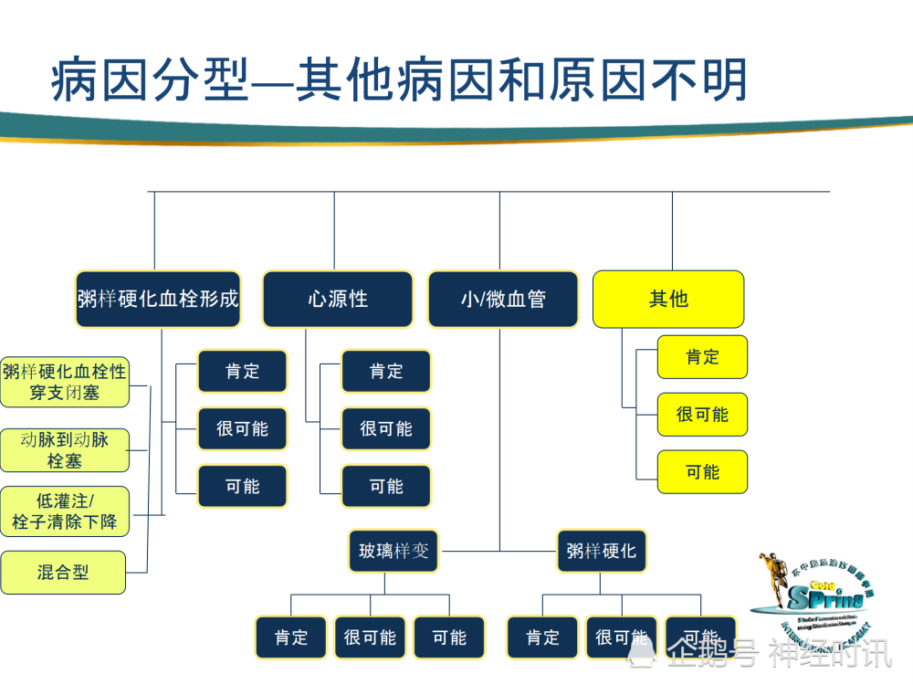 缺血性卒中的病因和發病機制分型王擁軍