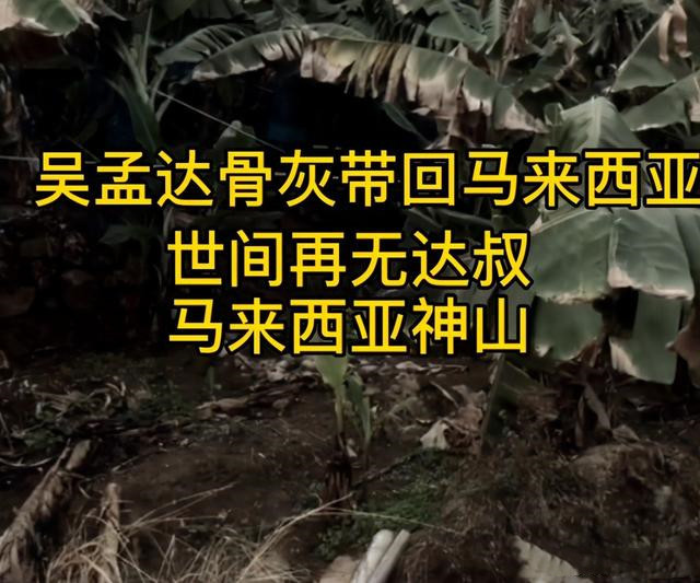 吴孟达离世一周年葬在马来西亚原因曝光最后电影前不久上映