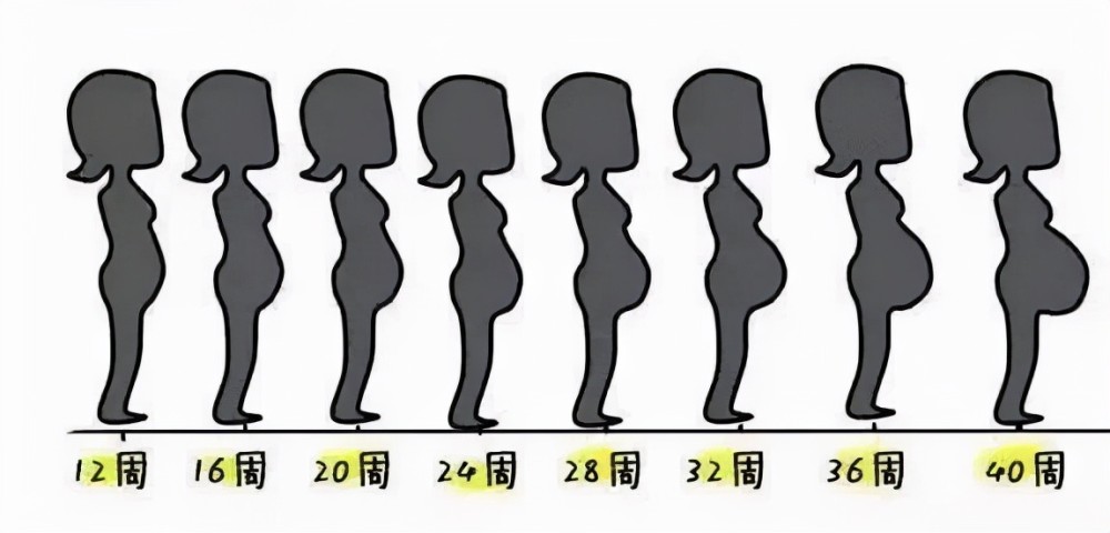 一孩妈妈双胞胎妈妈三胞胎妈妈的孕肚之比