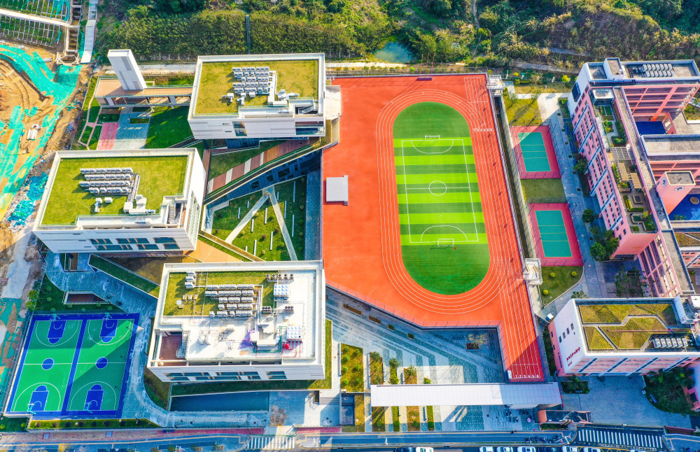 2020年深圳小学排行榜_深圳小学排名_深圳小学排名前五十