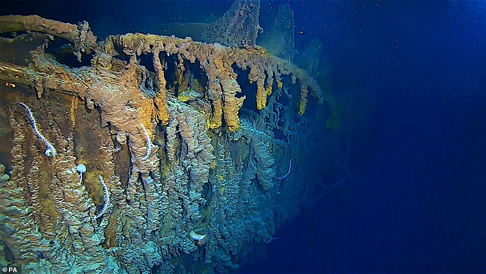 亏大了！1100辆保时捷沉3500米深海，会像暗礁一样成鱼类天堂吗？仁爱版英语九年级