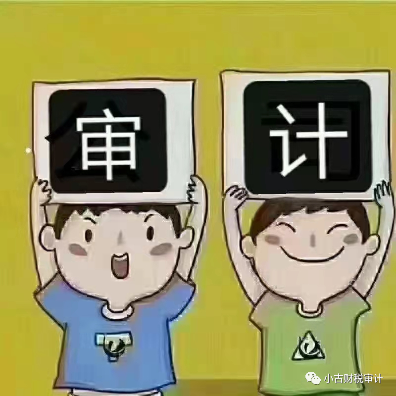 成都公司年报审计:其他非营利机构或组织年报审计_腾讯新闻