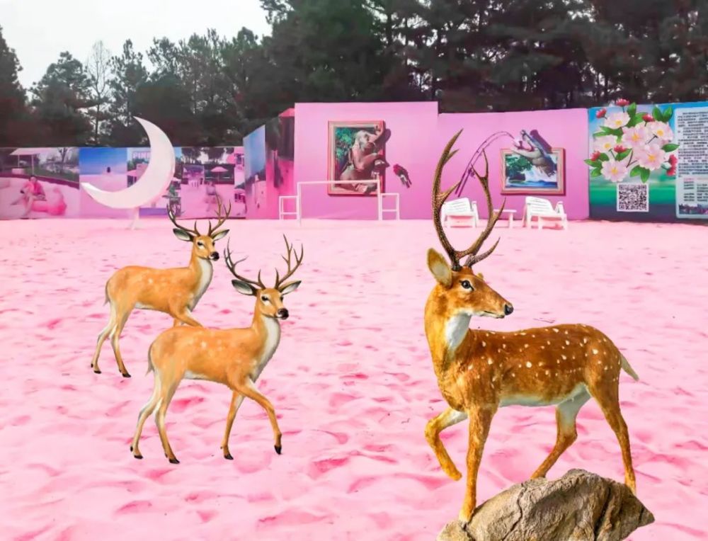 就住在梦幻的粉色沙滩里面为什么说是粉色的呢而且还是粉色的鹿岛乐园