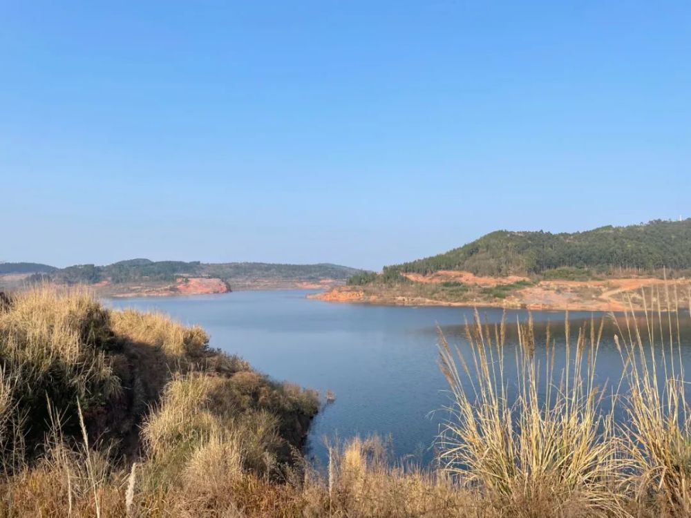 德阳下一个网红景点目测要火面积这么大