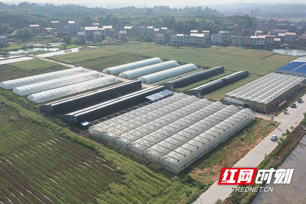 茶陵县马江镇:课堂 现场 农村党员冬春训走心走实