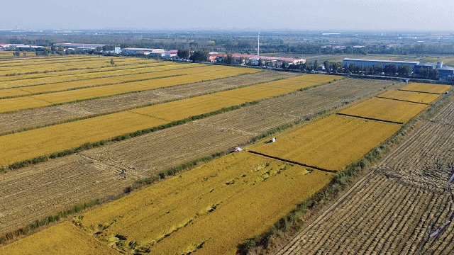 破冰与突围镇街书记访谈丨高河打造农忆小镇北国江南