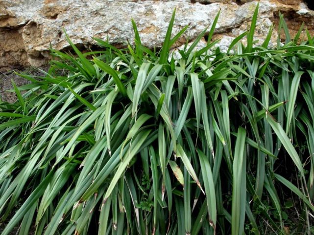 据介绍,石浦东门岛的东面在2年前就已经修筑成一条长达2.