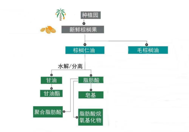 技術分享現代油脂化工天然油脂得到各種油脂化學品