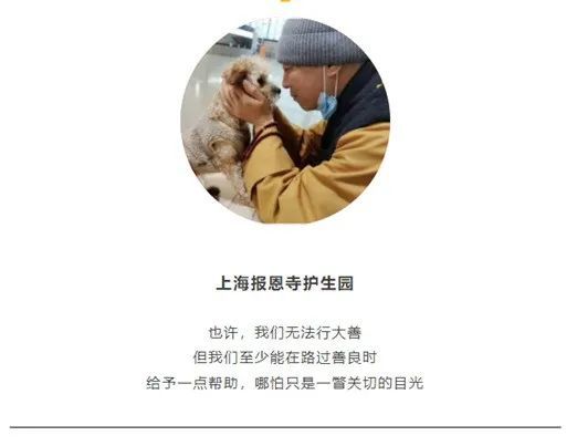 悲悯众生普护生命智祥师父29年救助9000多只生灵急需帮助感谢