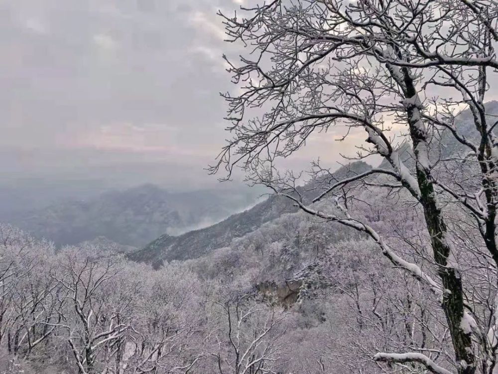 大连英语培训机构前十名磨砺冰雪直深山中演