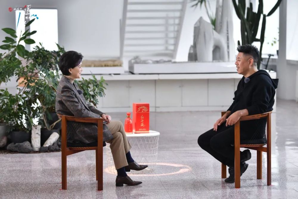 杨澜访谈录逐风者对话马岩松建筑师既是理想主义者也是现实主义者