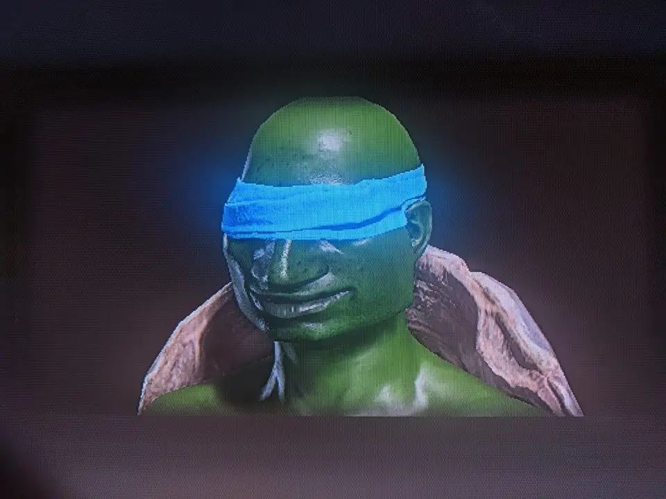 在2077捏牛子的那帮人来艾尔登法环捏忍者龟了