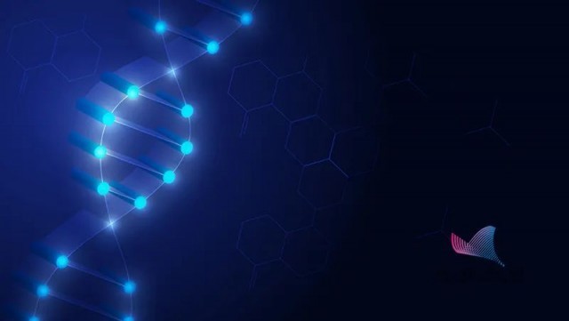 中国科学家把汉字存入DNA！DNA存储未来如何发展？002213特尔佳