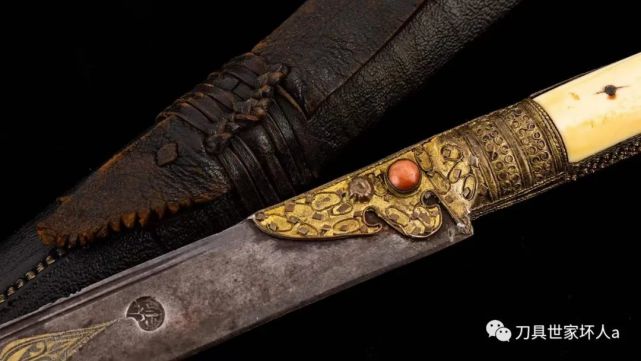 【精品海象亚特坎】