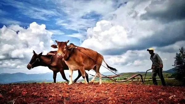 3月天气对春播春耕有啥影响专家已经透露早了解让心中有数