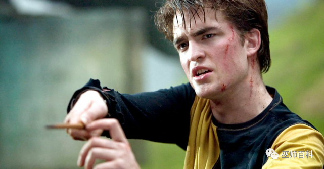 为什么塞德里克在哈利波特中持魔杖的方式不同来听听罗伯特帕丁森的