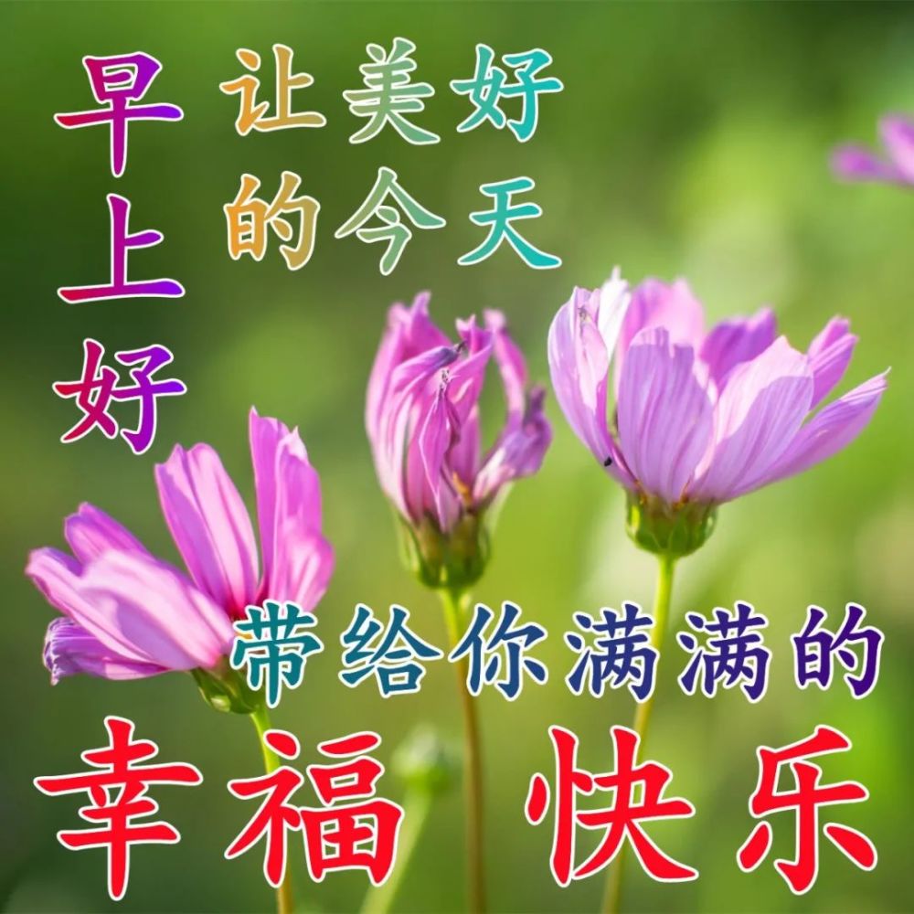 2022年3月26日清晨早上好問候祝福動態表情圖片最新早安問候祝福圖片