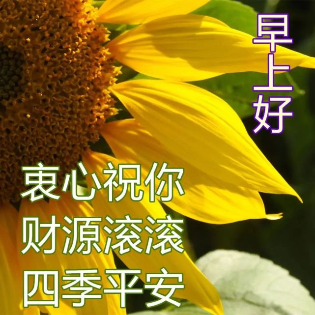 3月3日特别漂亮的早安祝福动态图片大全,阳春三月早上好祝福语!