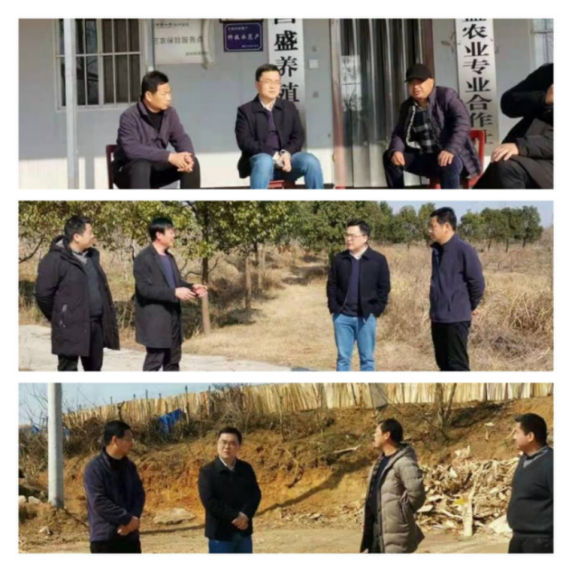 光山县砖桥镇送政策解难题促发展推进营商环境优化
