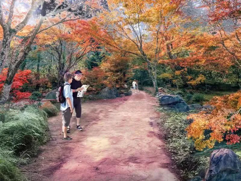 期待 7公里绿道直通深山森林氧吧 马鞍山森林公园改造 腾讯新闻