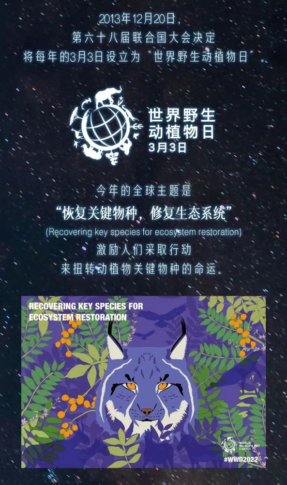 世界野生动植物日关注旗舰物种保护推进美丽中国建设