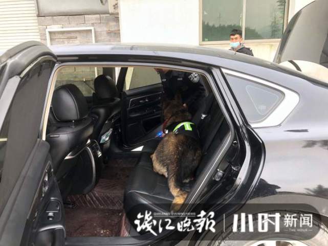 警犬