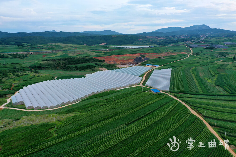 夯实农业基础确保粮食安全宣威市始终把保障粮食安全作为发展现代农业