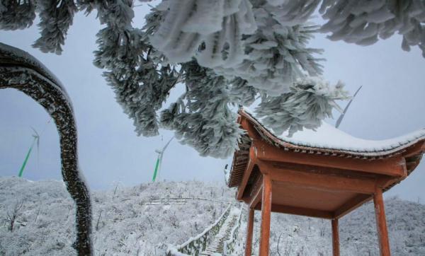 大幕山雾凇图片