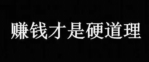 赚钱才是硬道理现实篇