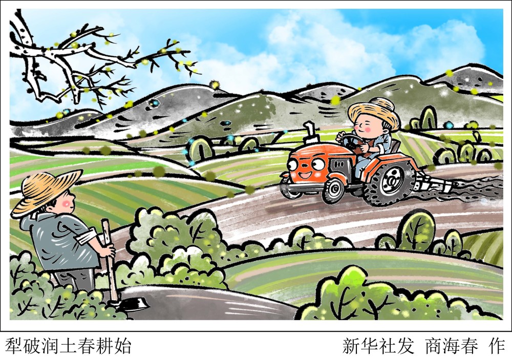 2022年3月3日漫画:犁破润土春耕始(1)"二月二,龙抬头,千家万户使耕牛
