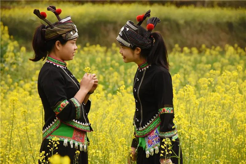 我在花开的地方等你 腾讯新闻